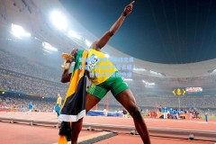 爱游戏-樊振东年终完美收官！环场挥手签名暖人心，德甲式氛围掀热潮