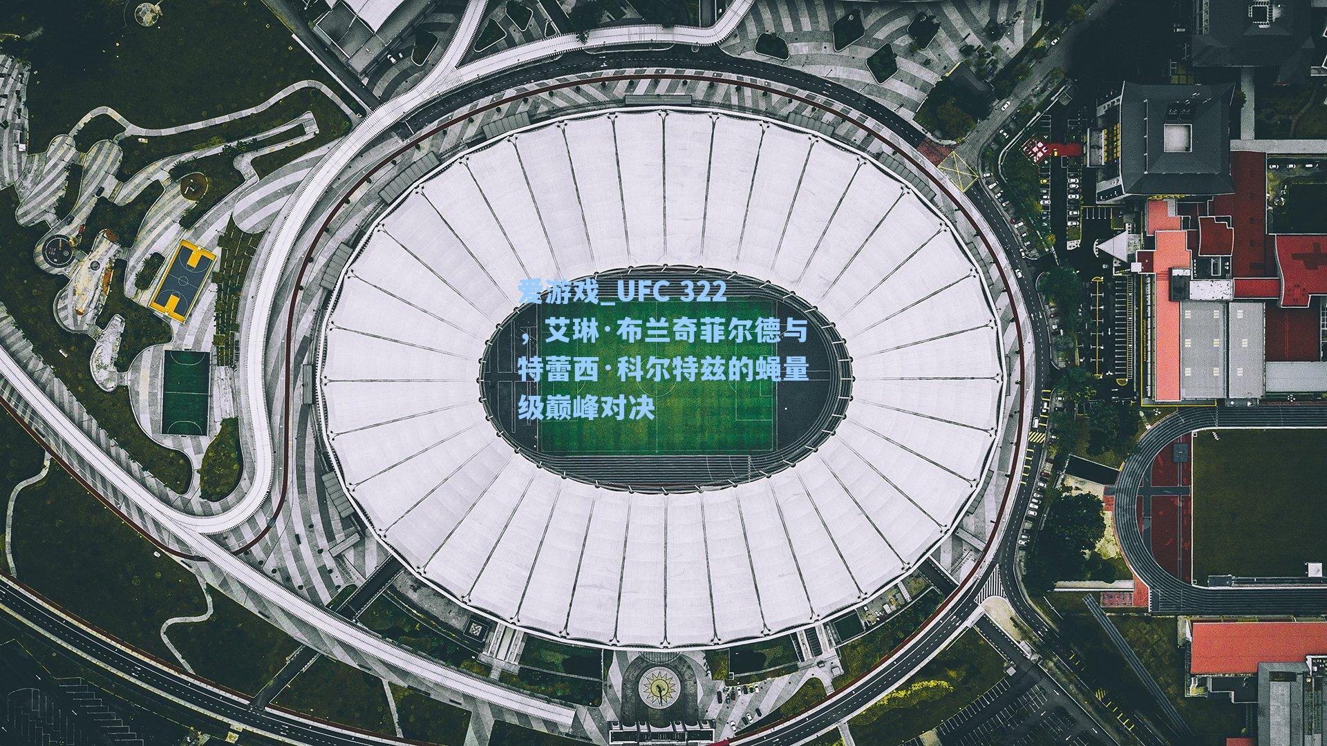 UFC 322，艾琳·布兰奇菲尔德与特蕾西·科尔特兹的蝇量级巅峰对决