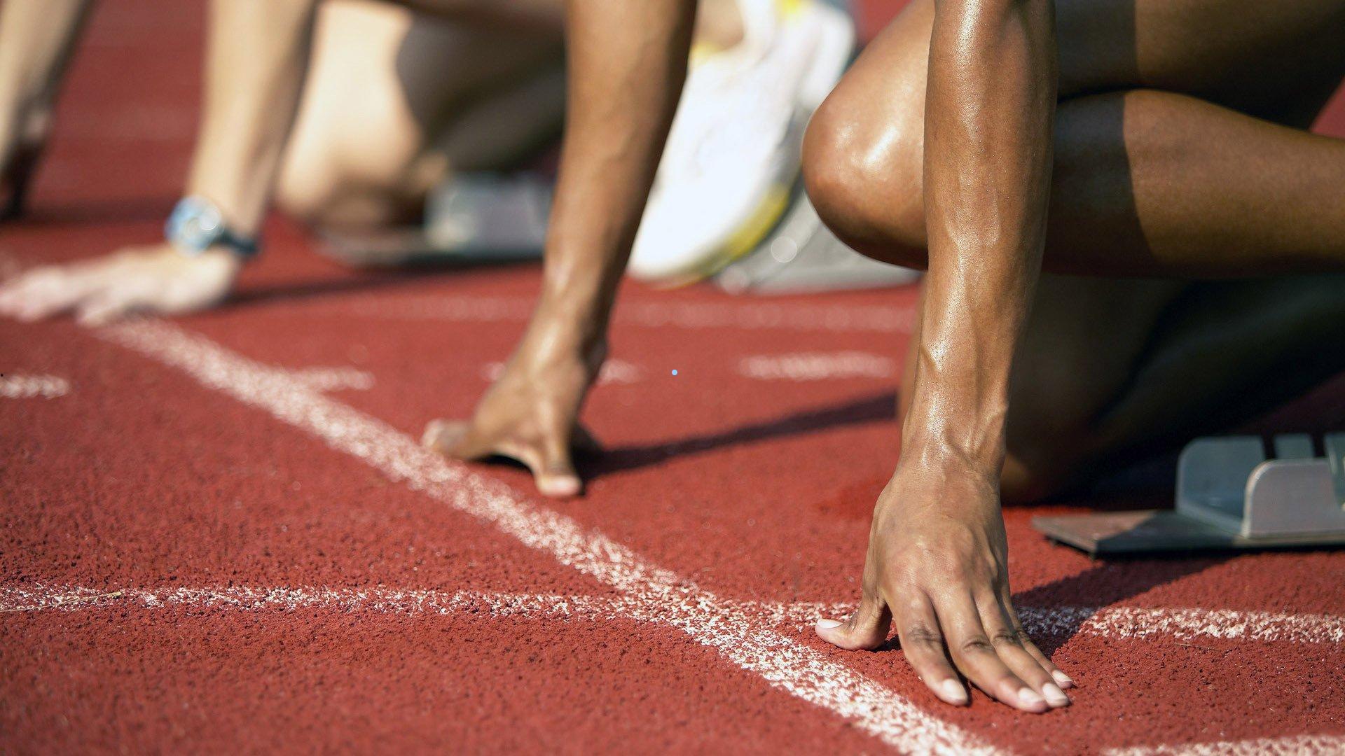 特朗普总统生日当天迎来UFC白宫站赛事 体育与政治交融引全球关注