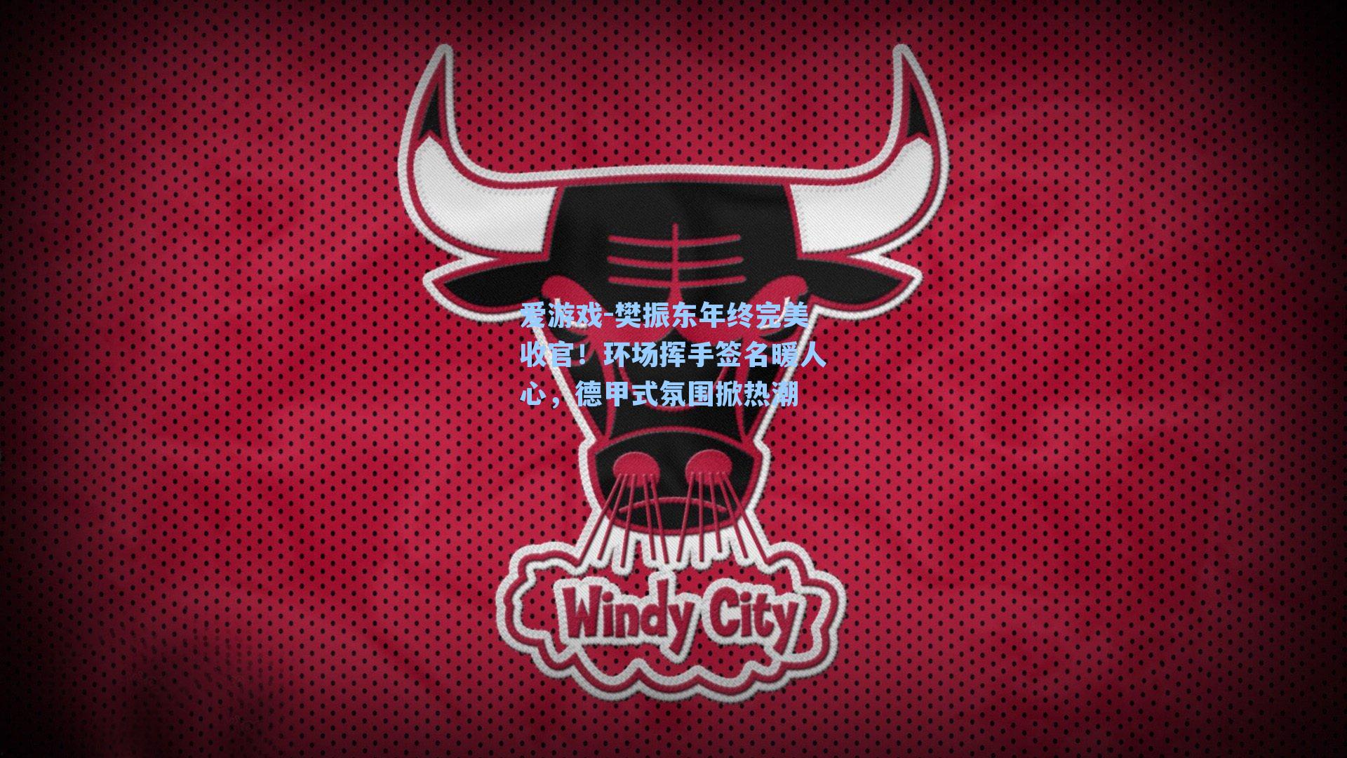 樊振东年终完美收官！环场挥手签名暖人心，德甲式氛围掀热潮