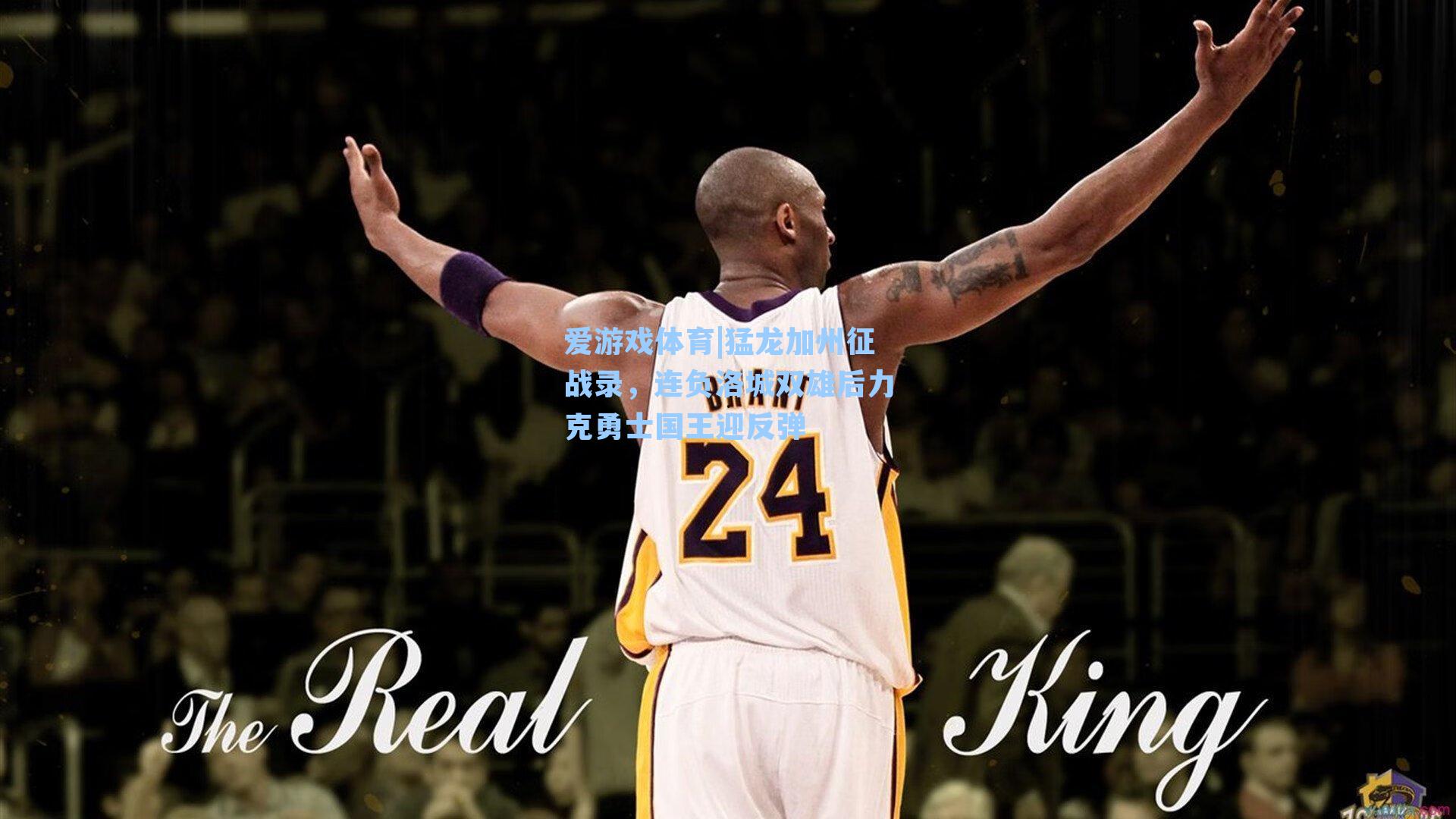 猛龙加州征战录，连负洛城双雄后力克勇士国王迎反弹